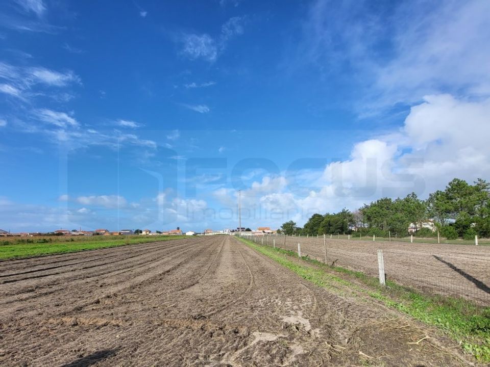 Helårsgrund i Vagos, Aveiro - foto 1