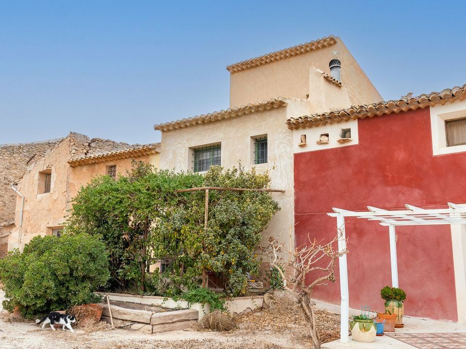 Landejendom i Pinoso, Alicante - foto 1