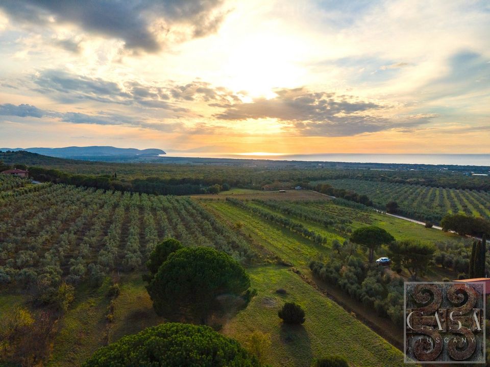 Villa a Campiglia Marittima, Livorno - foto 4