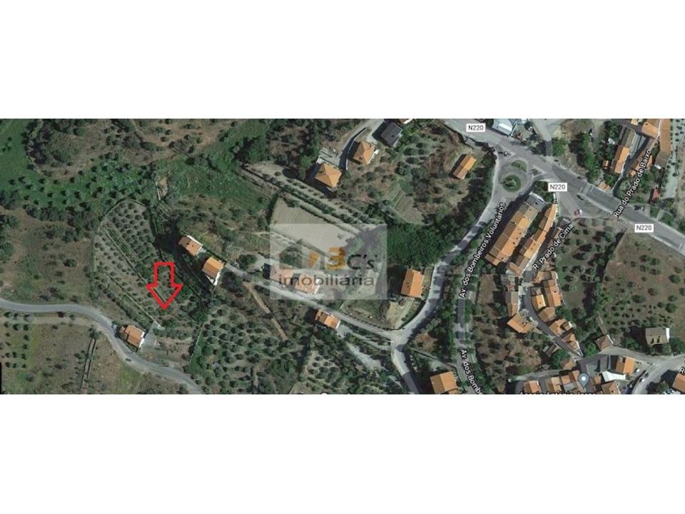 Boerderij in Torre de Moncorvo, Braganca - foto 3