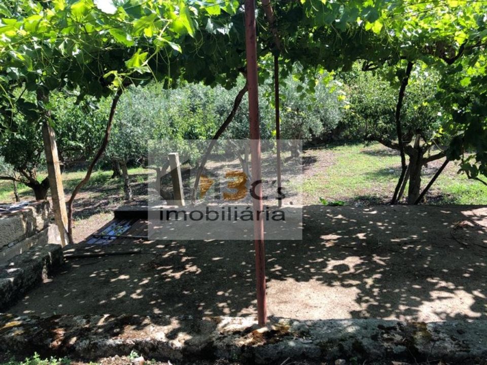 Boerderij in Torre de Moncorvo, Braganca - foto 4