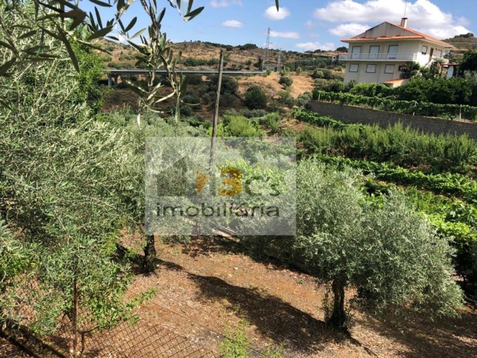 Boerderij in Torre de Moncorvo, Braganca - foto 1
