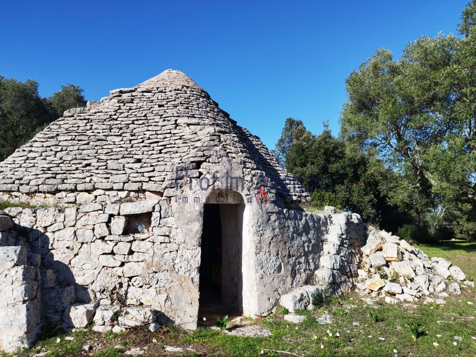 Farm hus i Ostuni, Brindisi - foto 4