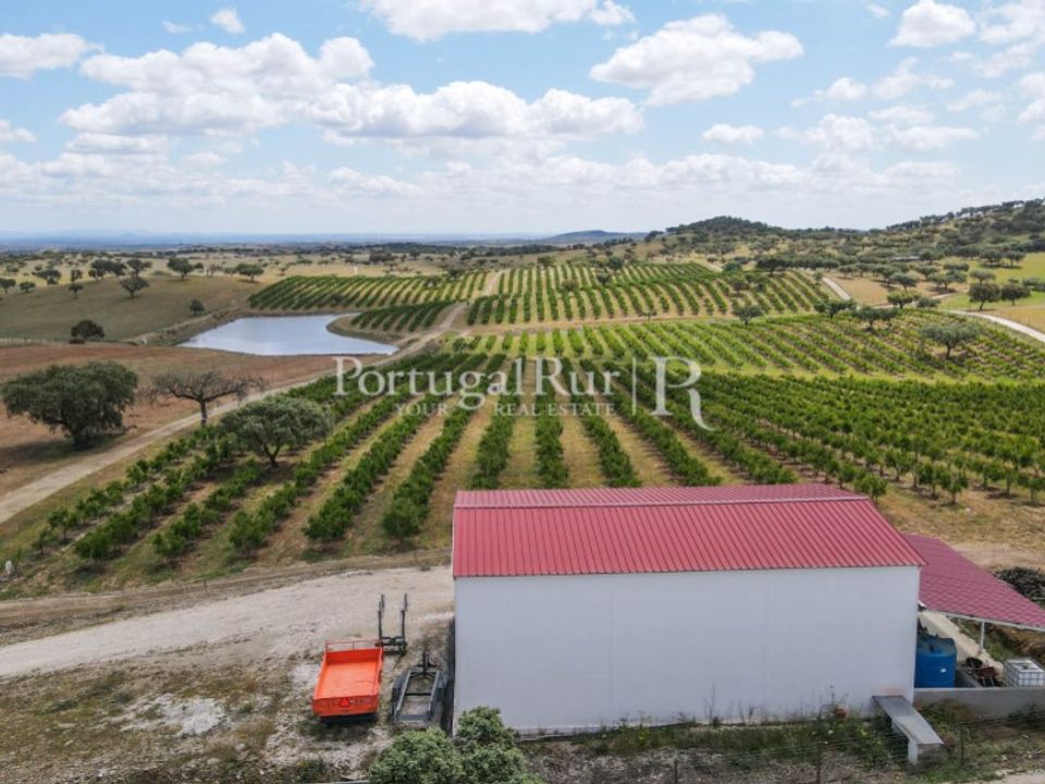Helårsgrund i Santiago Maior, Evora - foto 2