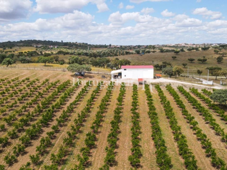 Helårsgrund i Santiago Maior, Evora - foto 3
