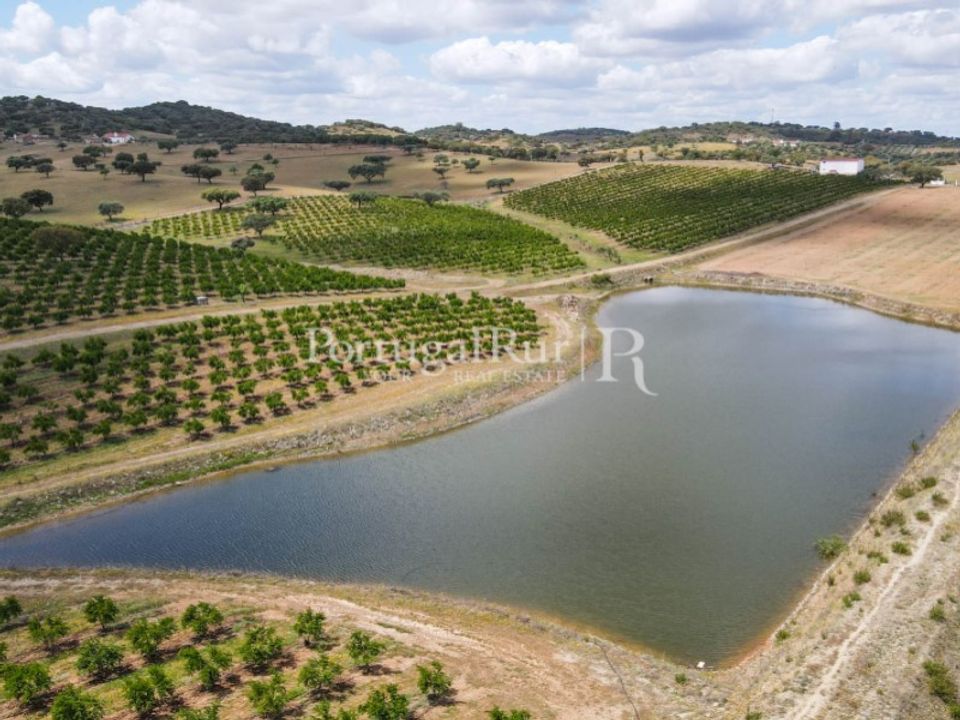 Helårsgrund i Santiago Maior, Evora - foto 1