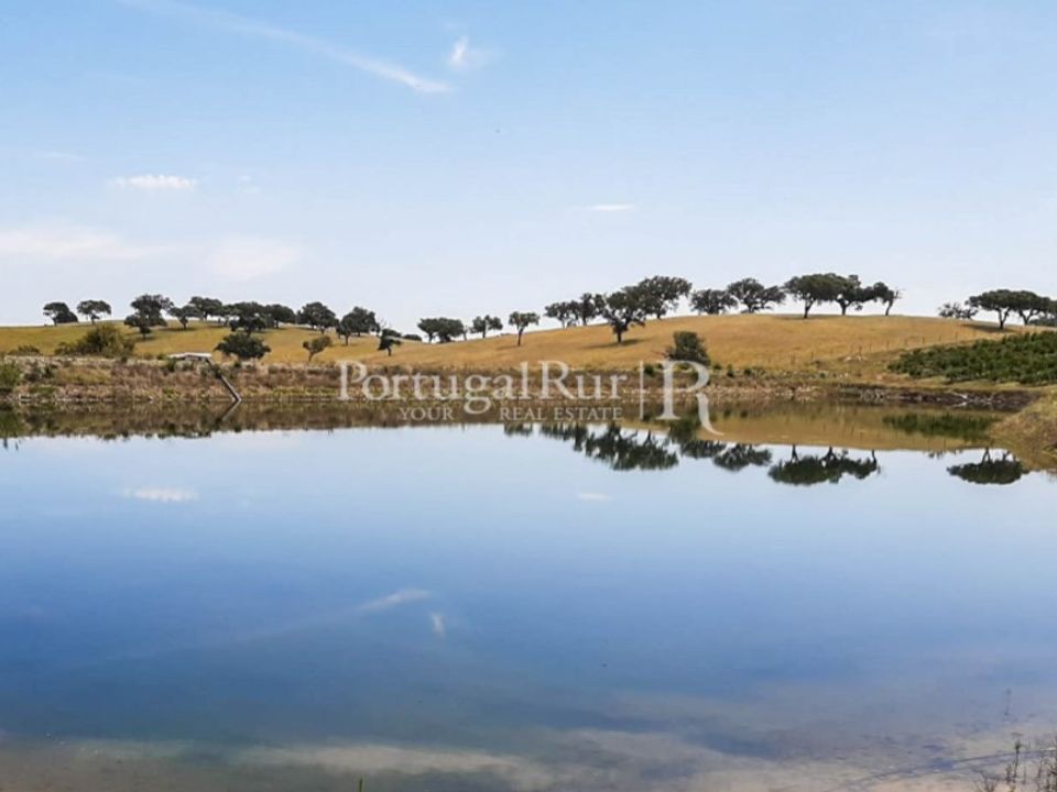 Helårsgrund i Santiago Maior, Evora - foto 5