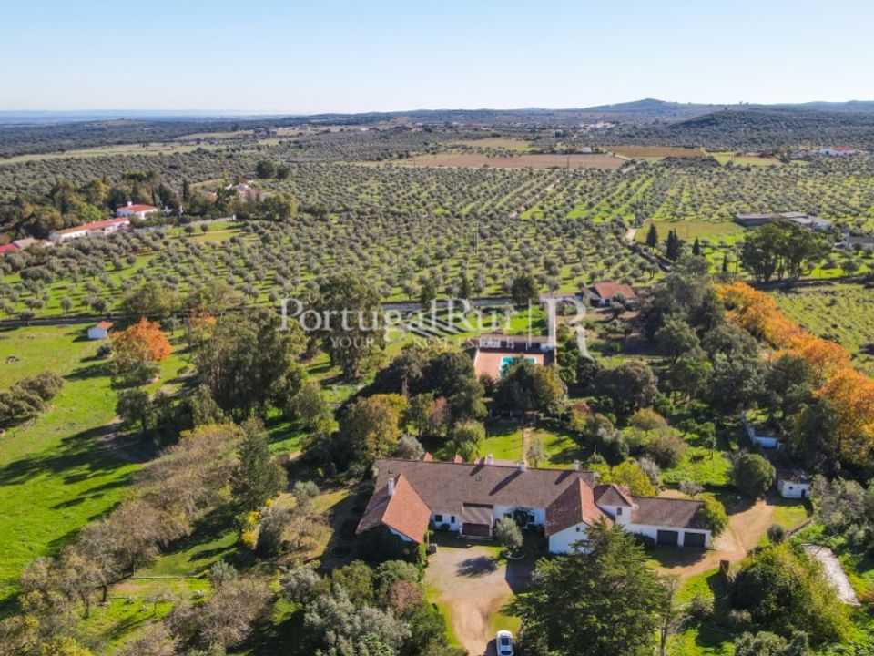 Farm i Arcos, Evora - foto 5
