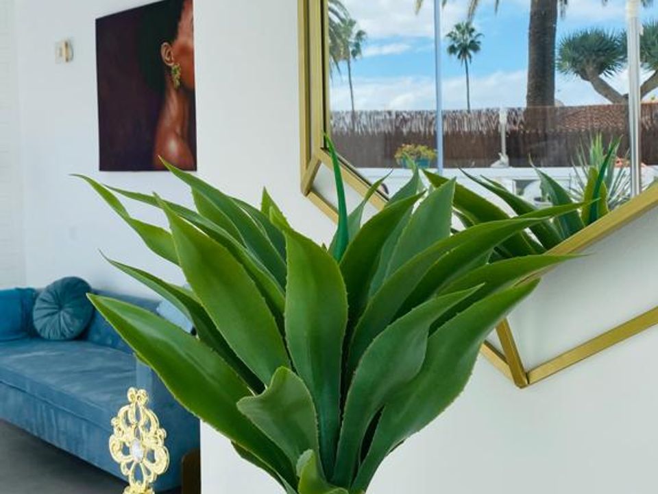 Bungalow i Maspalomas, Gran Canaria - foto 3