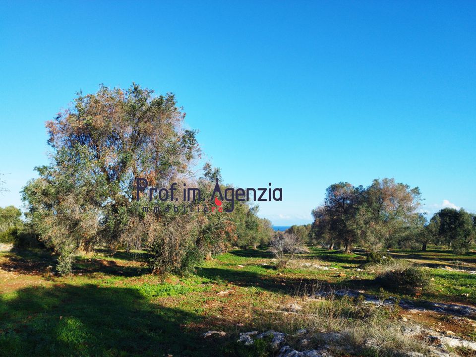 Helårsgrund i Carovigno, Brindisi - foto 2