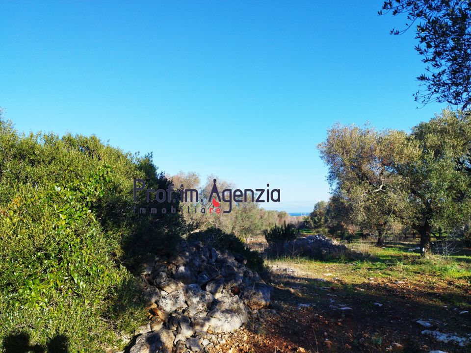 Helårsgrund i Carovigno, Brindisi - foto 1
