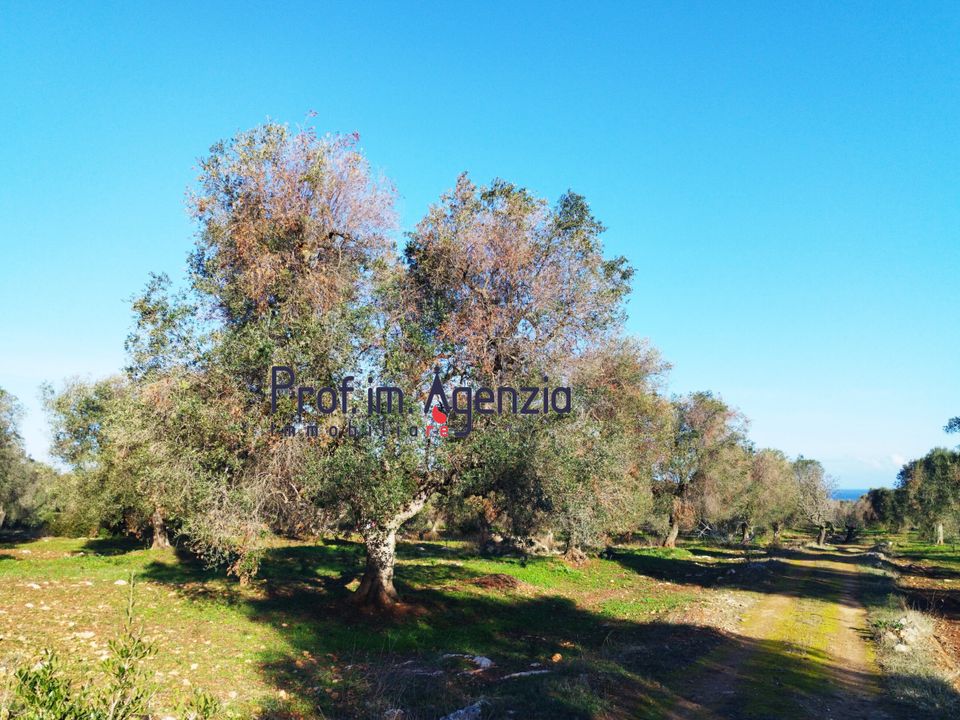 Helårsgrund i Carovigno, Brindisi - foto 5