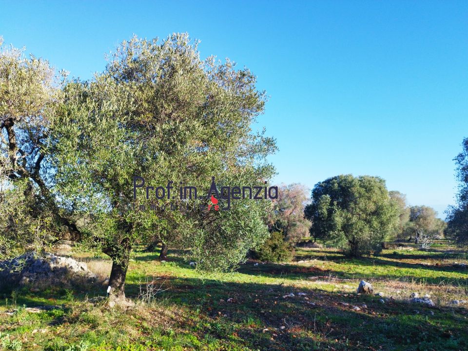 Helårsgrund i Carovigno, Brindisi - foto 3