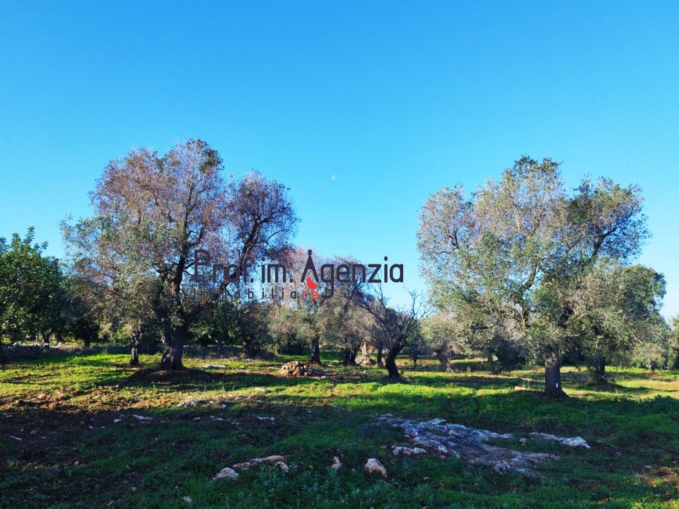 Helårsgrund i Carovigno, Brindisi - foto 4