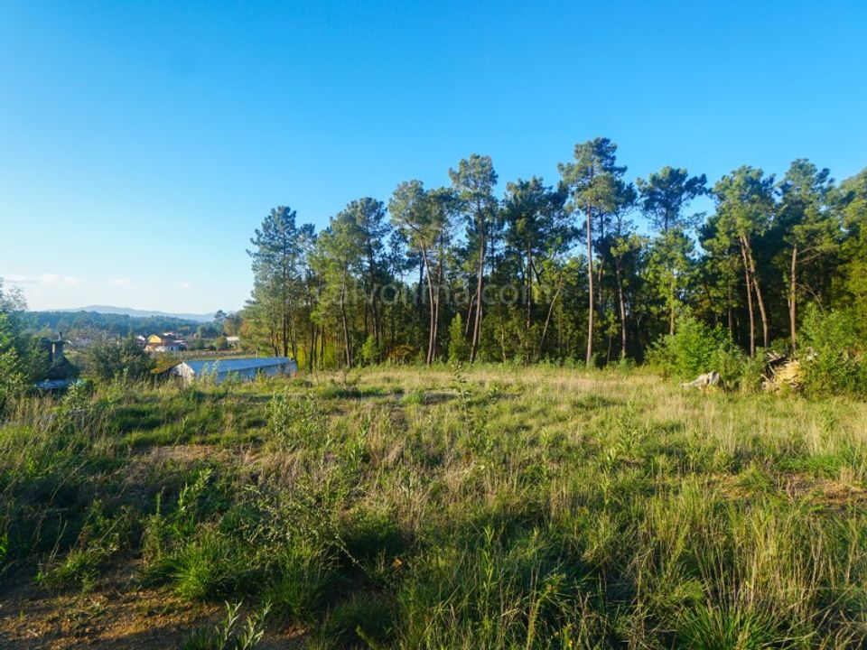 Helårsgrund i Moncao, Viana do Castelo - foto 4