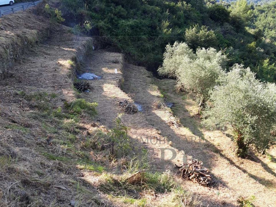 Erhvervsejendom i Ventimiglia, Imperia - foto 3