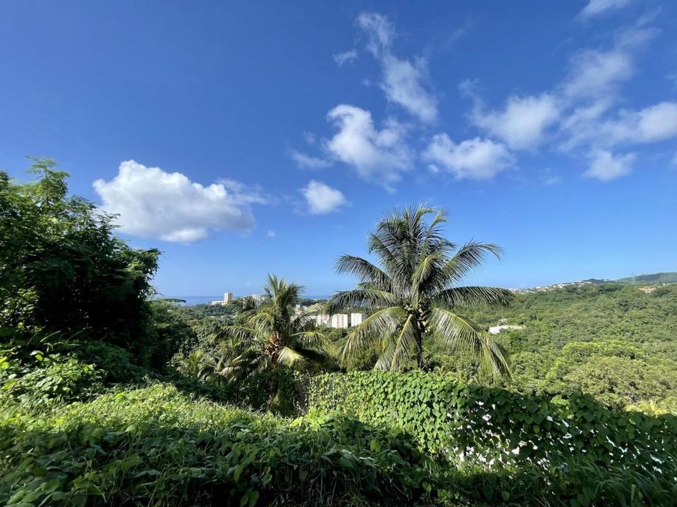 Helårsgrund i Schoelcher, Martinique - foto 2
