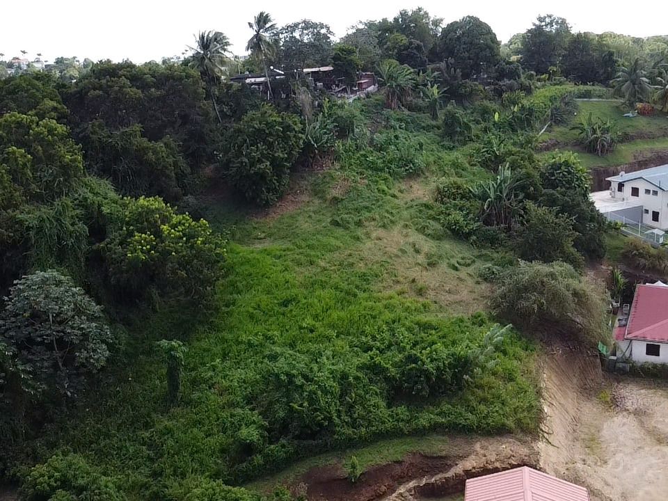 Helårsgrund i Schoelcher, Martinique - foto 3