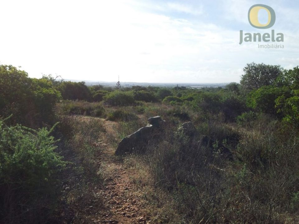 Helårsgrund i Santa Barbara de Nexe, Faro - foto 4