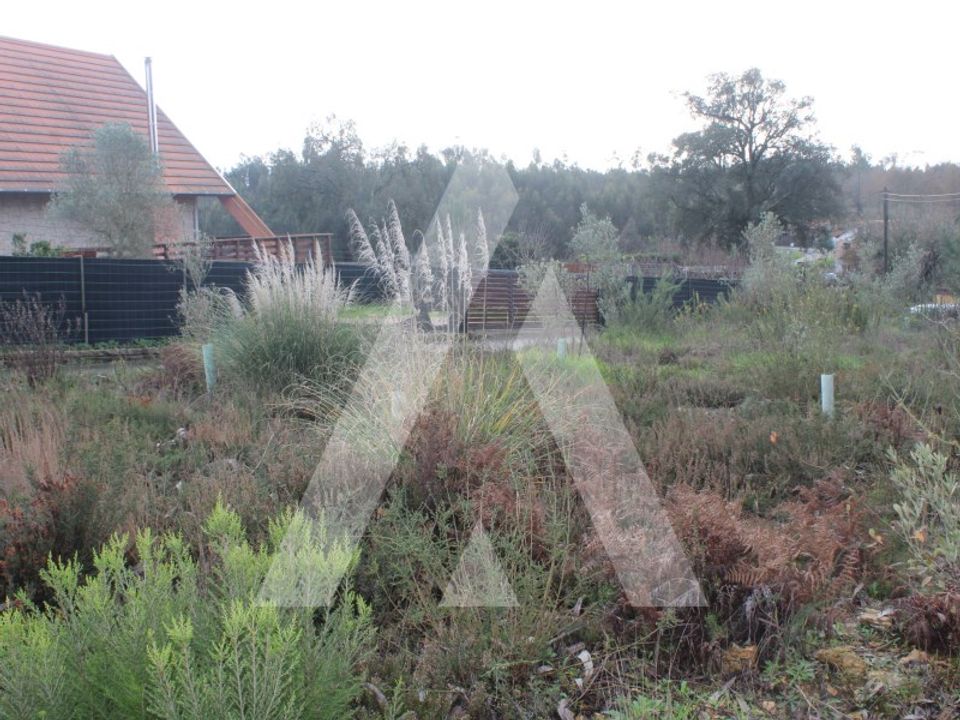 Helårsgrund i Albergaria-a-Velha, Aveiro - foto 2