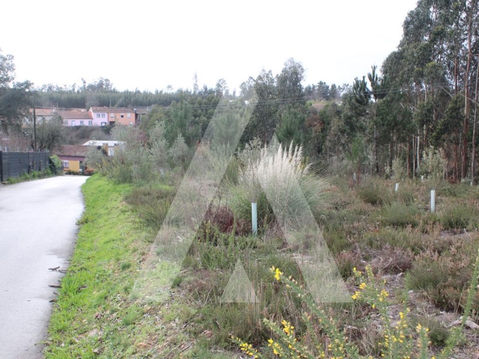 Helårsgrund i Albergaria-a-Velha, Aveiro - foto 3