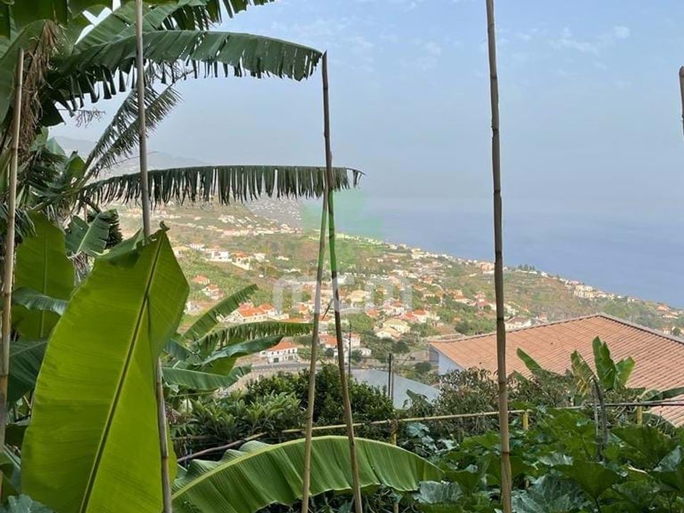 Helårsgrund i Ponta do Sol, Madeira - foto 3