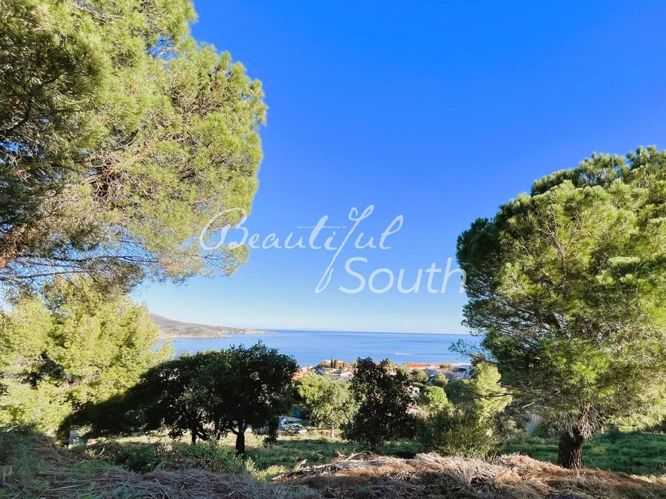 Villa i Banyuls-sur-Mer, Pyrenees-Orientales - foto 5