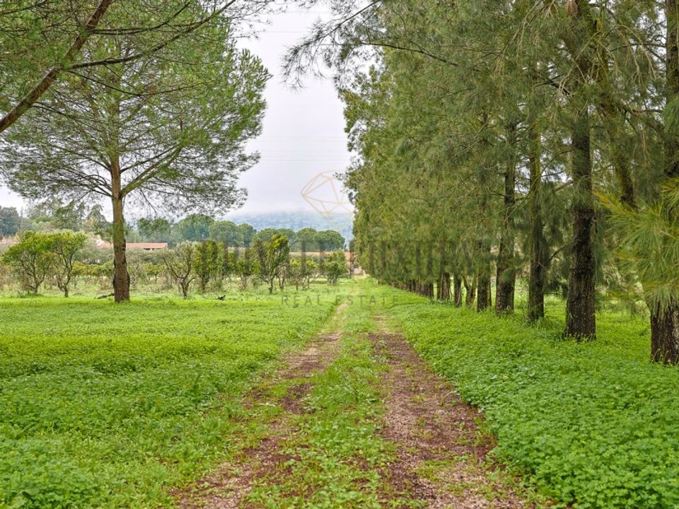 Granja a Setubal, Setubal - foto 5