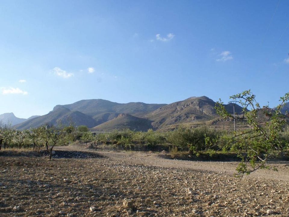 Helårsgrund i Murcia, Murcia - foto 1