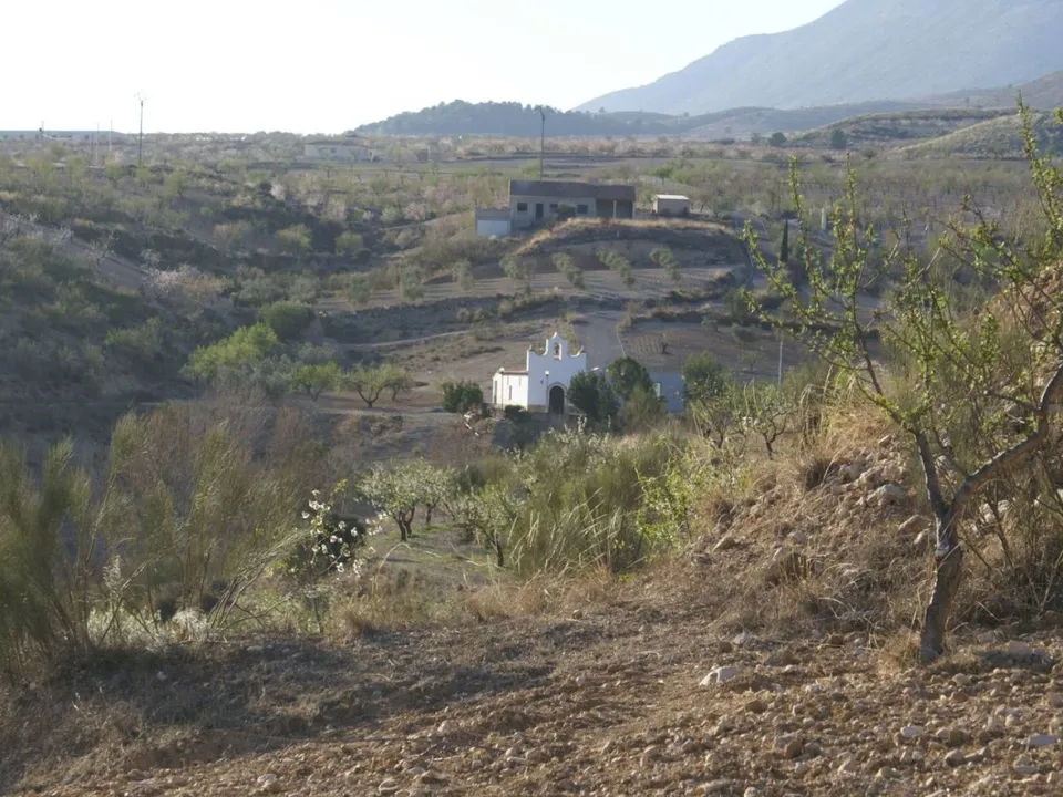 Helårsgrund i Murcia, Murcia - foto 5