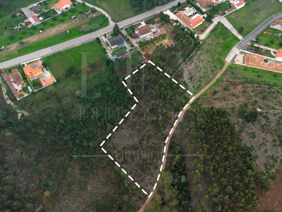 Grond in Pampilhosa, Aveiro - foto 3