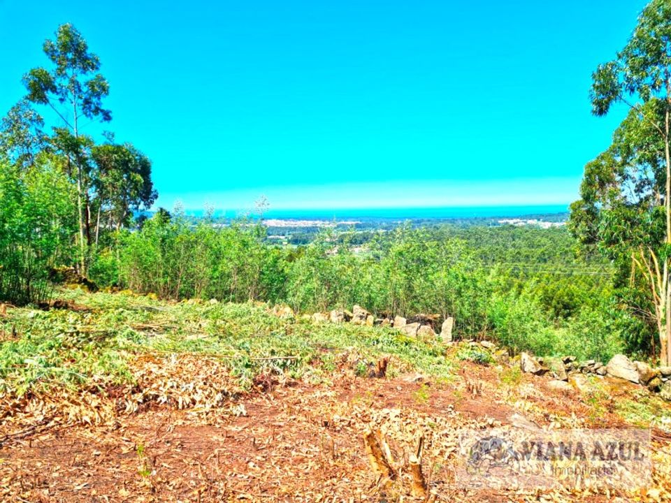 Helårsgrund i Viana do Castelo, Viana do Castelo - foto 3