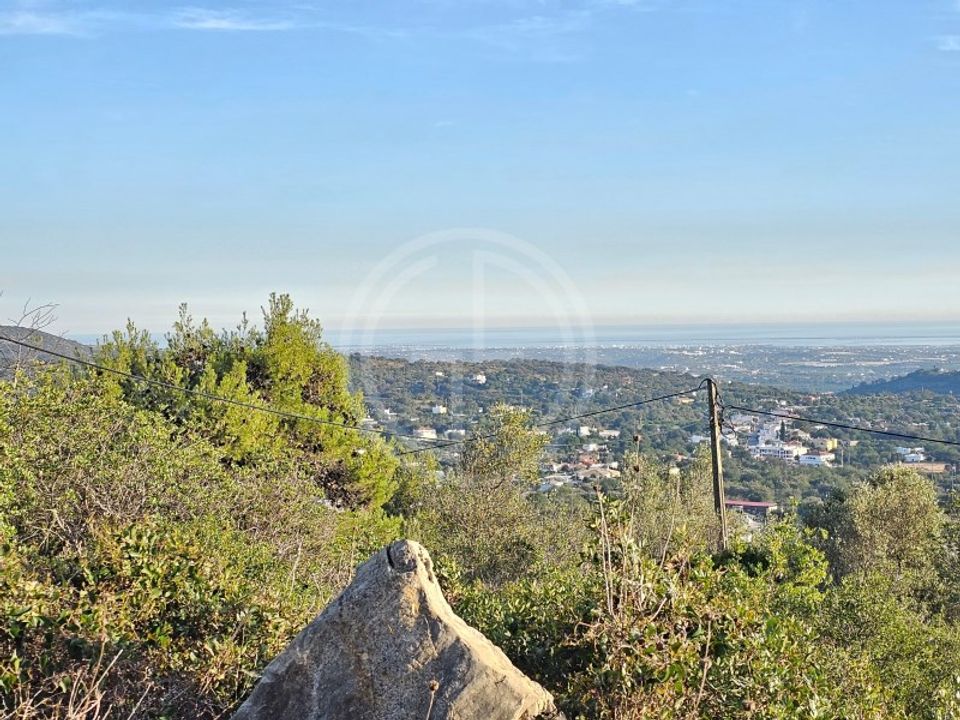 Helårsgrund i Santa Barbara de Nexe, Faro - foto 4
