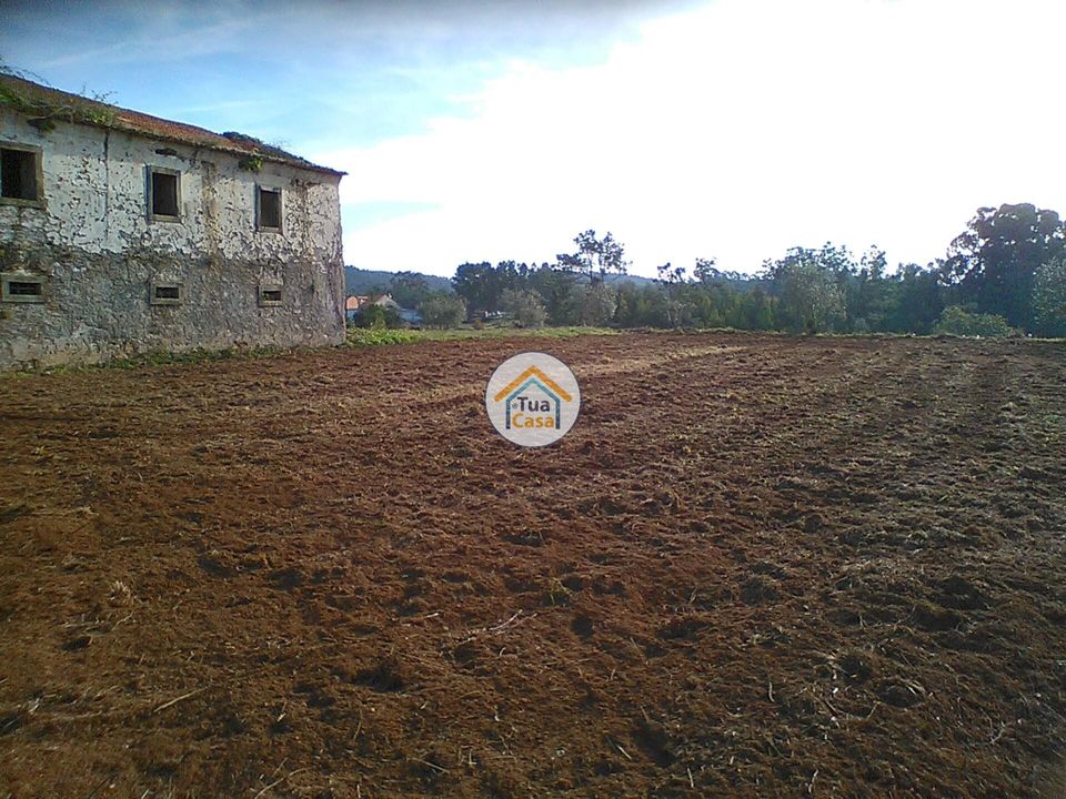 Byhus i Penacova, Coimbra - foto 4