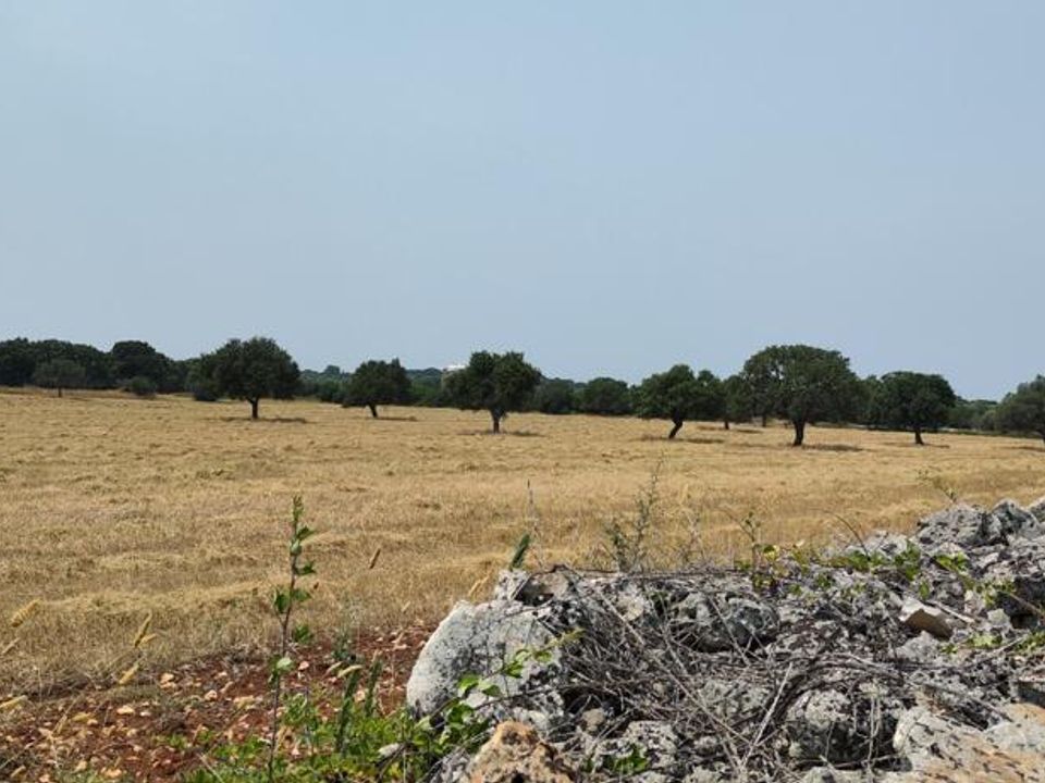 Helårsgrund i Ostuni, Brindisi - foto 4