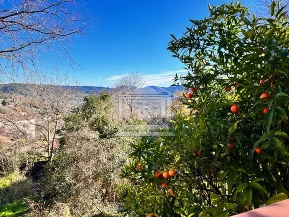 Villa i Montauroux, Var - foto 5