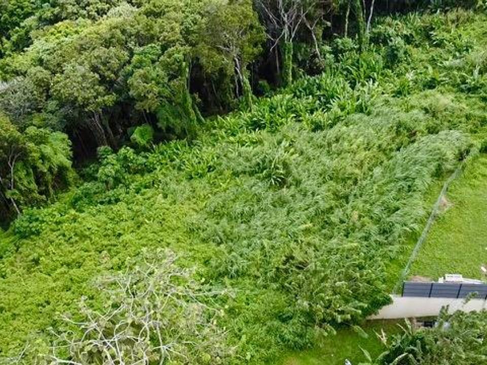 Helårsgrund i Riviere-Salee, Martinique - foto 2
