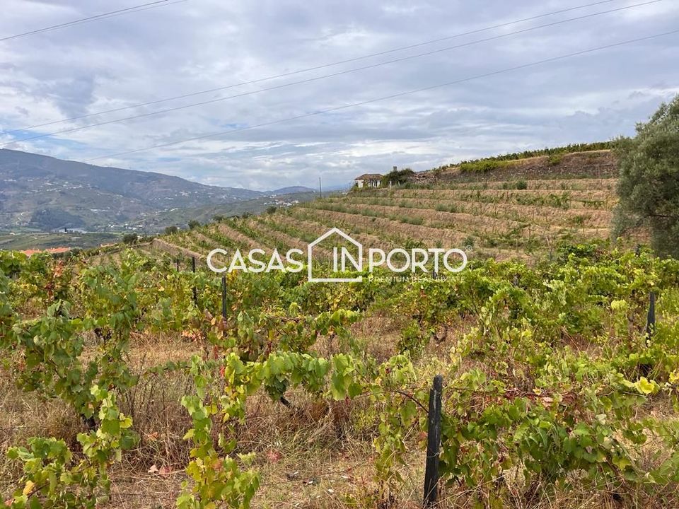 Landejendom i Peso da Regua, Vila Real - foto 1