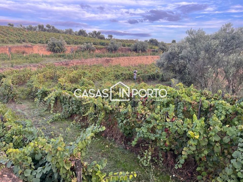 Landejendom i Peso da Regua, Vila Real - foto 5