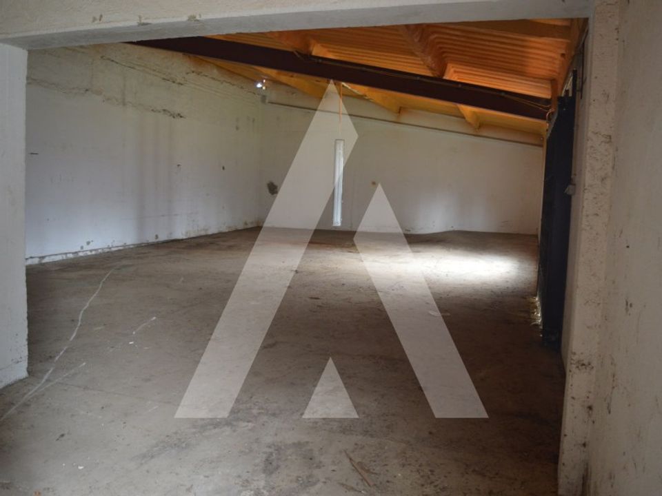 Erhvervsejendom i Anadia, Aveiro - foto 5