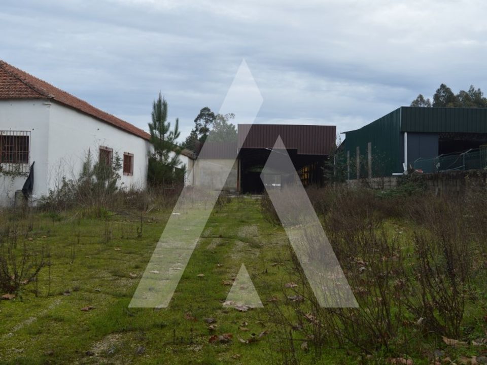 Erhvervsejendom i Anadia, Aveiro - foto 2