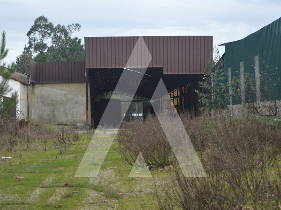 Erhvervsejendom i Anadia, Aveiro - foto 3