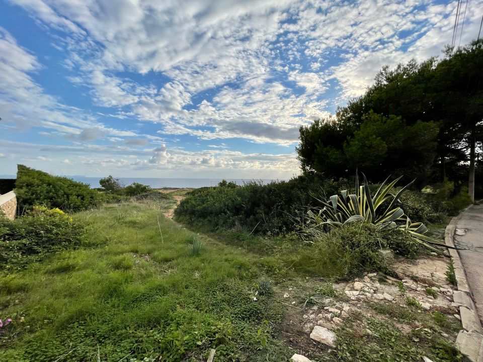 Helårsgrund i Llucmajor, Mallorca - foto 2