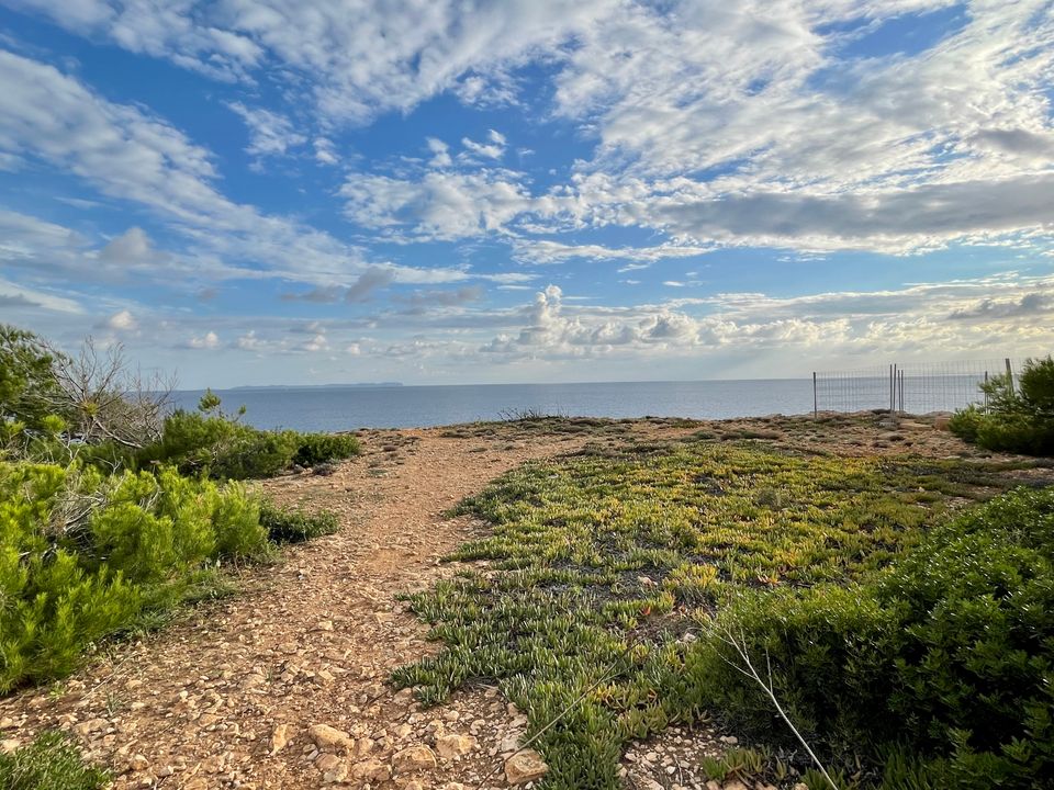 Helårsgrund i Llucmajor, Mallorca - foto 3