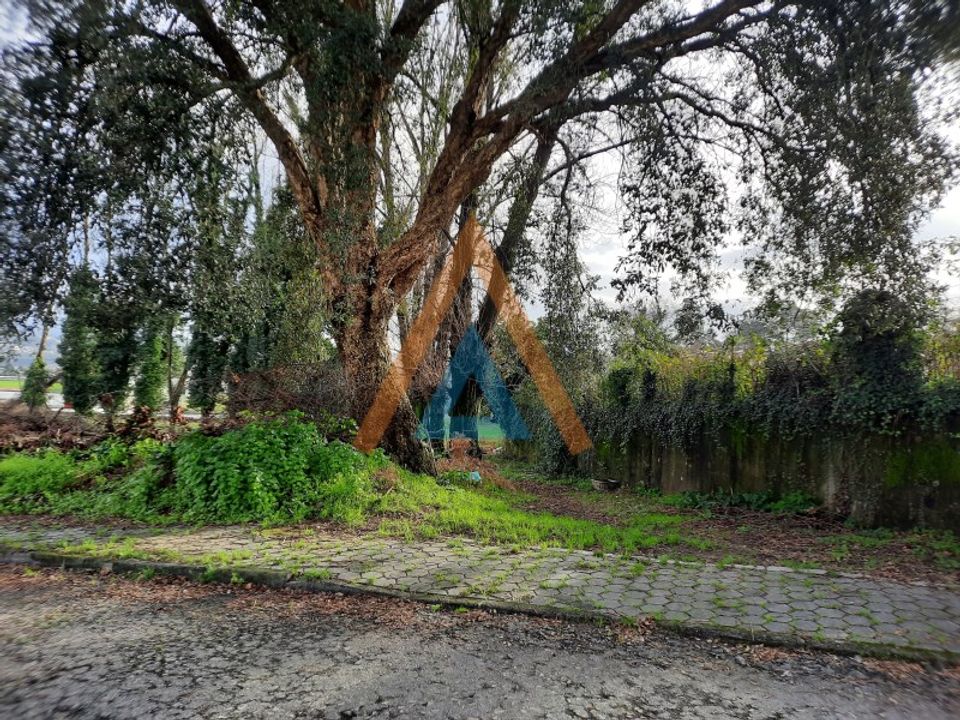Helårsgrund i Vila de Cucujaes, Aveiro - foto 1