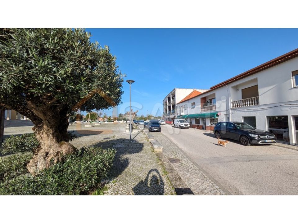 Helårsgrund i Pombal, Leiria - foto 3