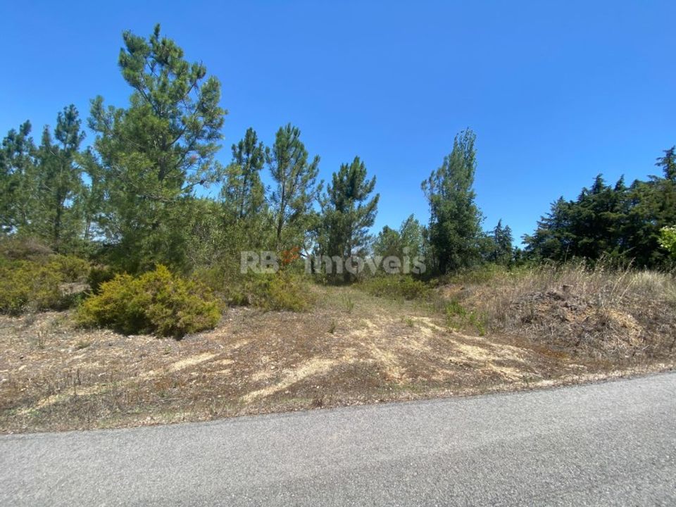 Helårsgrund i Tomar, Santarem - foto 2