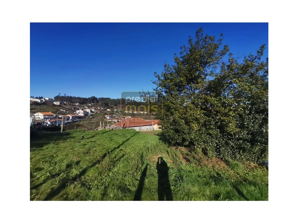 Terra a Airao (Santa Maria), Braga - foto 3