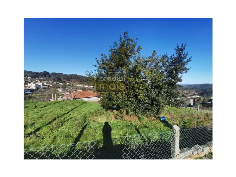 Terra a Airao (Santa Maria), Braga - foto 4