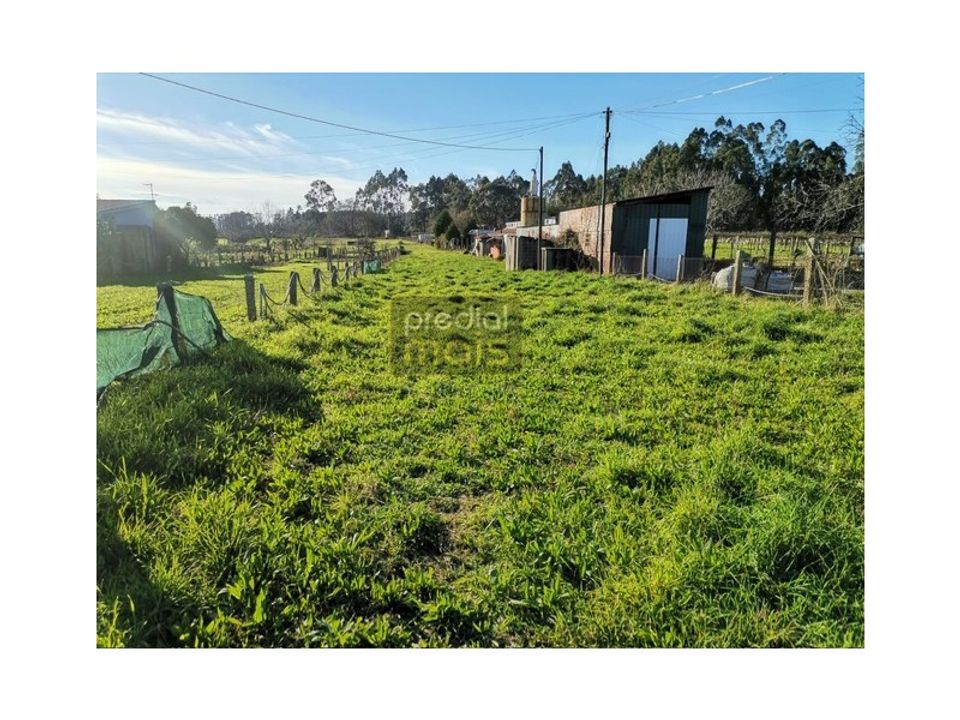 Terreno en Airao (Santa Maria), Braga - foto 1